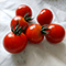 認定No.226 トマトのヘタさん「いわき産のミニトマトたち」