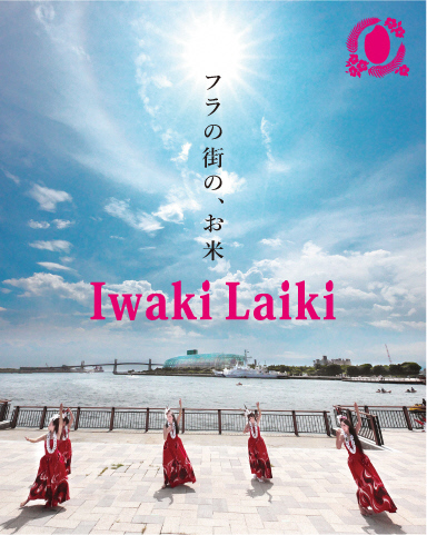 フラの街の、お米「Ｉｗａｋｉ　Ｌａｉｋｉ」